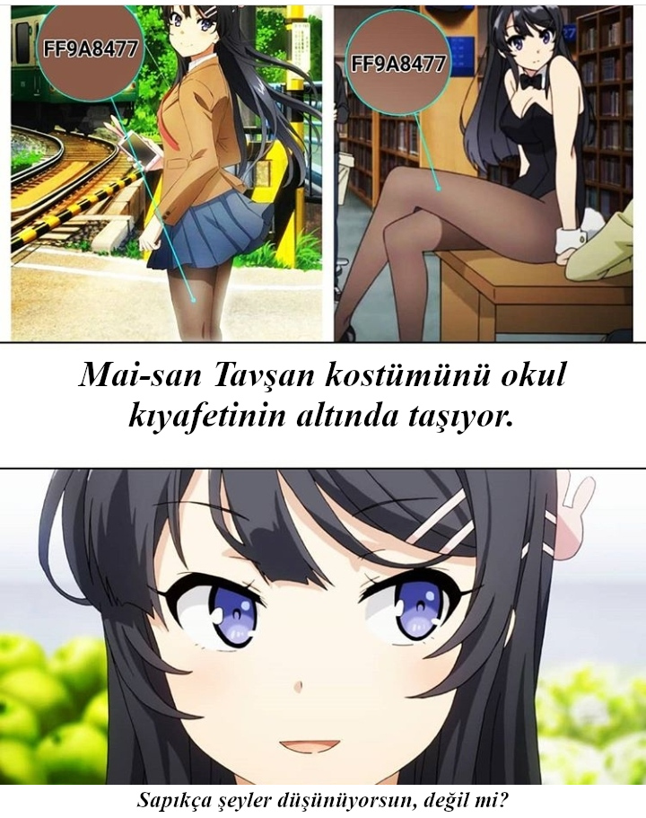 Anime Meme 1