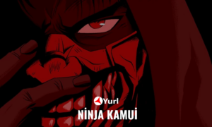 ninja kamui