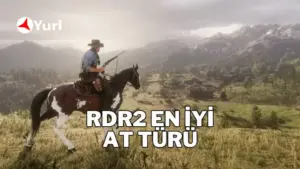 RDR2 en iyi at türü